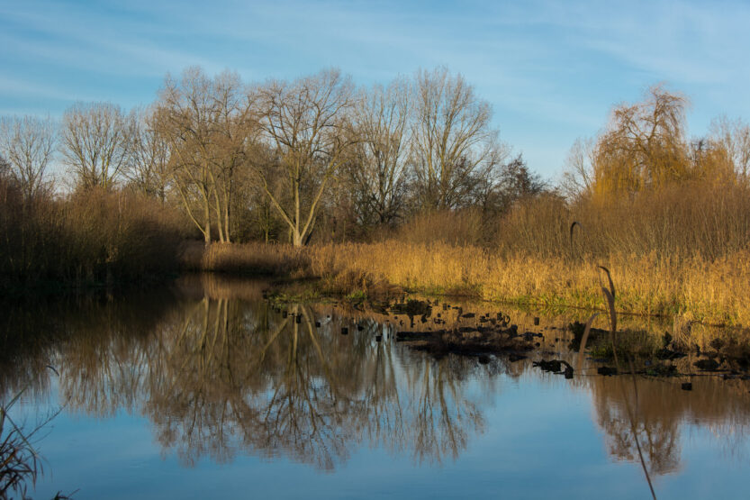 Je bekijkt nu Dommeldal