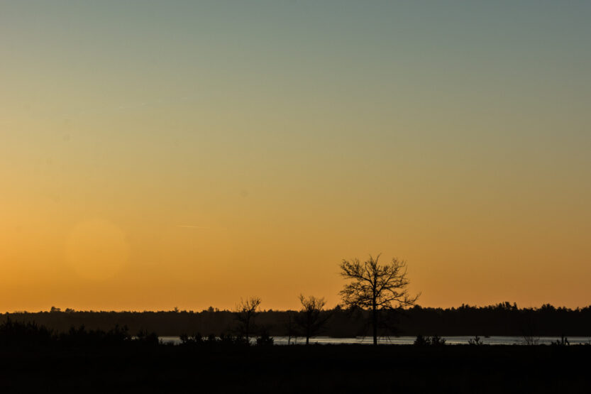 Lees meer over het artikel Zonsopkomst Strabrechtse Heide