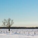 Winterwandeling Lange Bleek