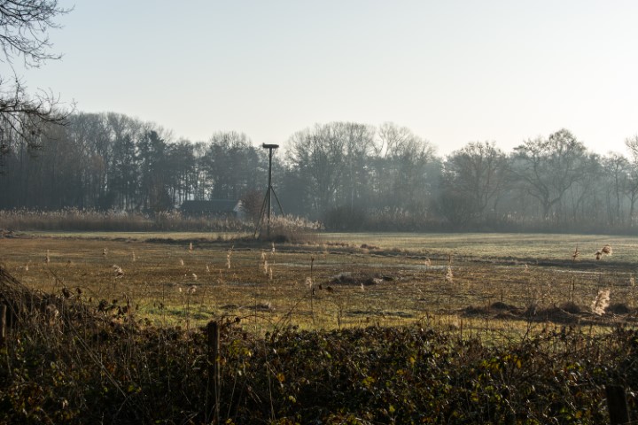 Je bekijkt nu Altweerterheide